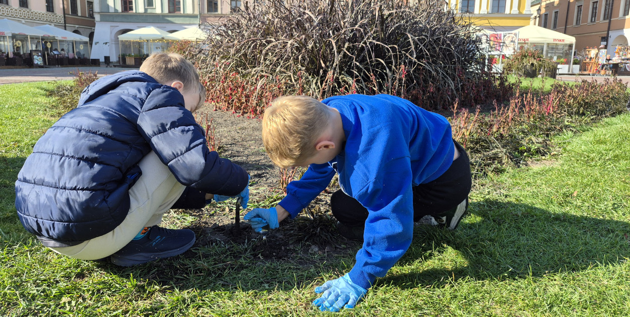 Zazieleniamy Zamość