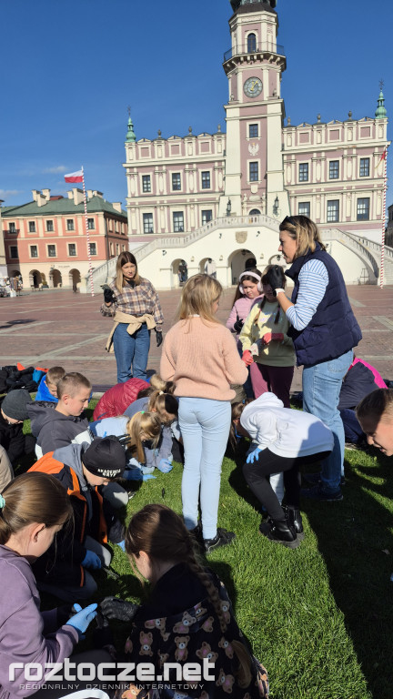 Zazieleniamy Zamość