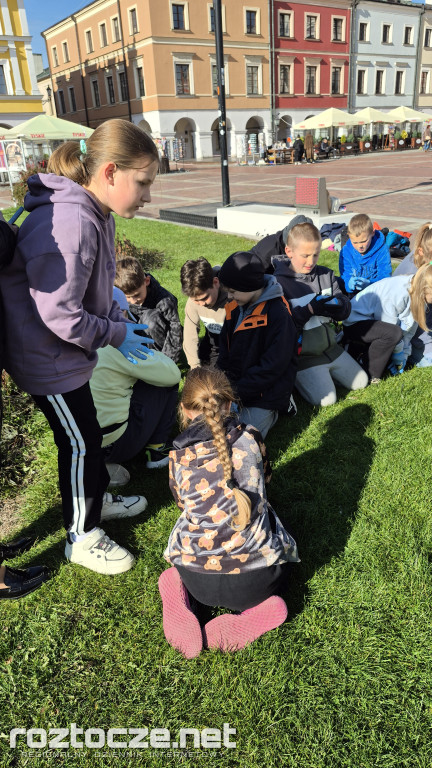 Zazieleniamy Zamość