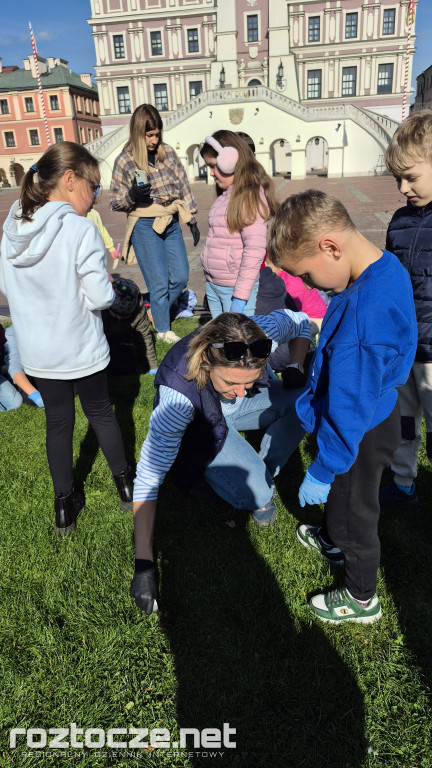 Zazieleniamy Zamość