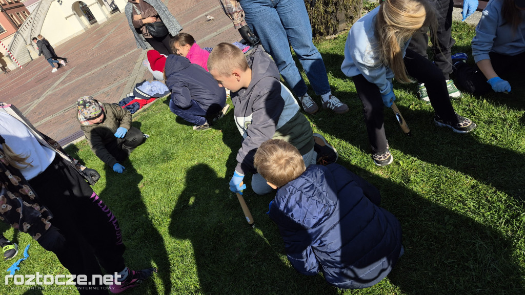 Zazieleniamy Zamość