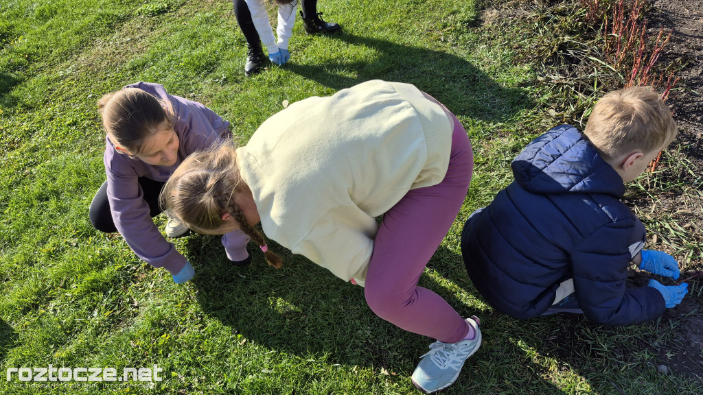 Zazieleniamy Zamość