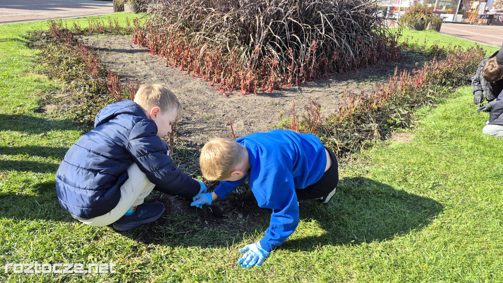 Zazieleniamy Zamość