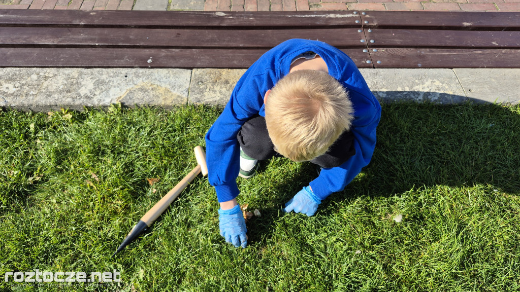 Zazieleniamy Zamość