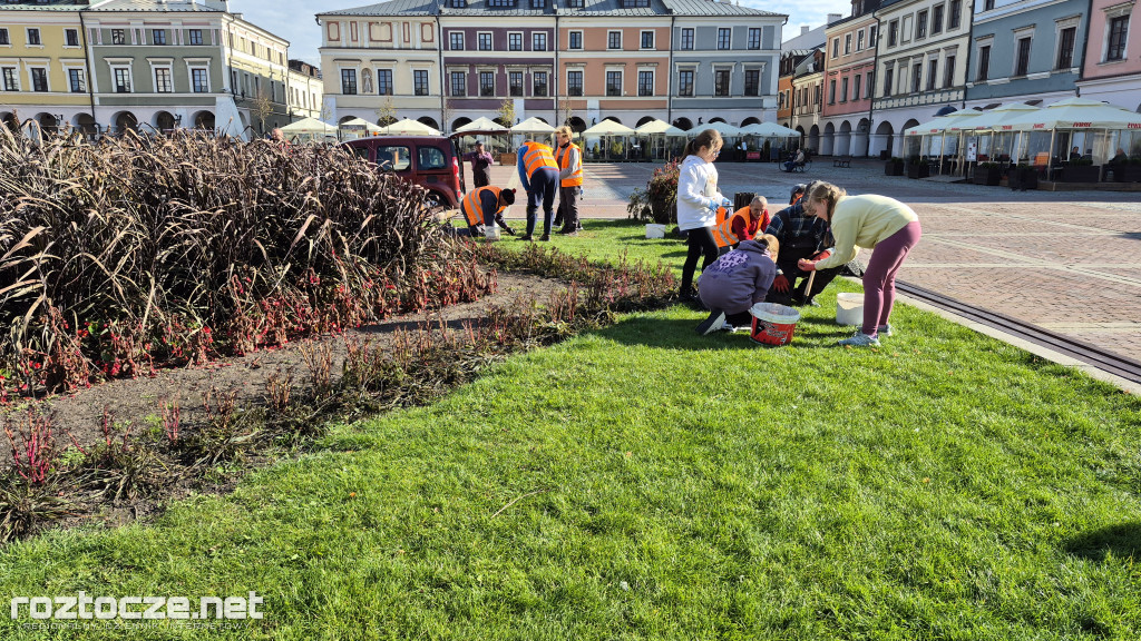 Zazieleniamy Zamość