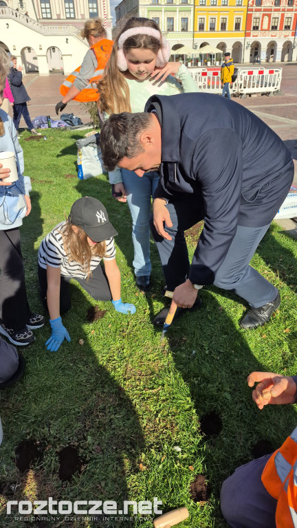 Zazieleniamy Zamość