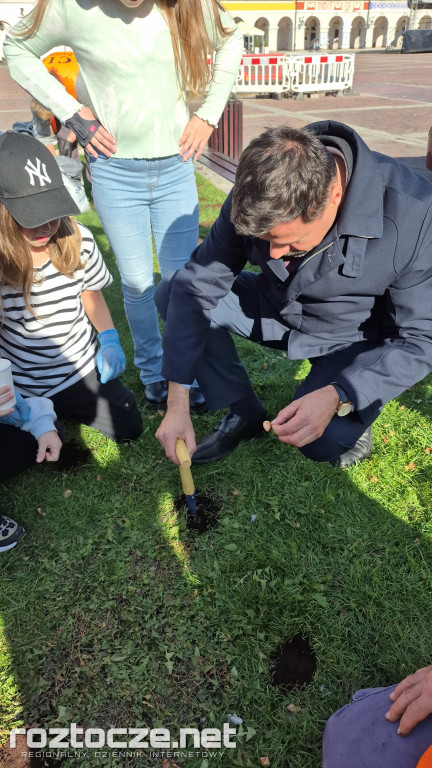 Zazieleniamy Zamość