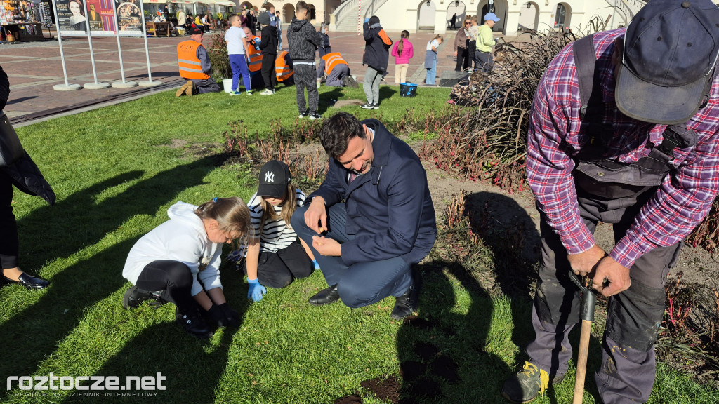 Zazieleniamy Zamość