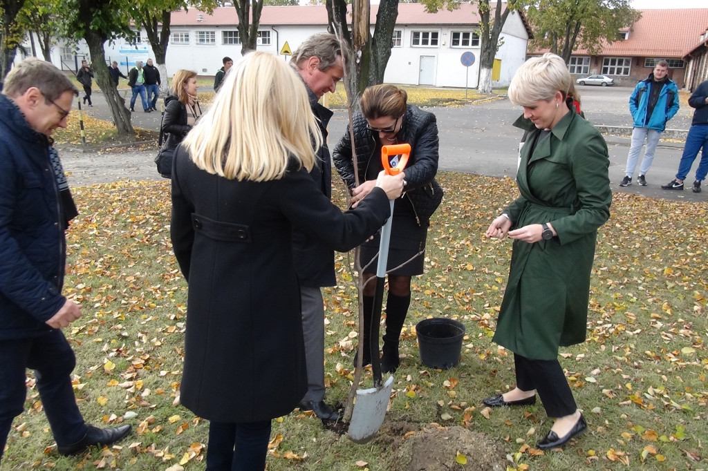 Święto ziemniaka w 