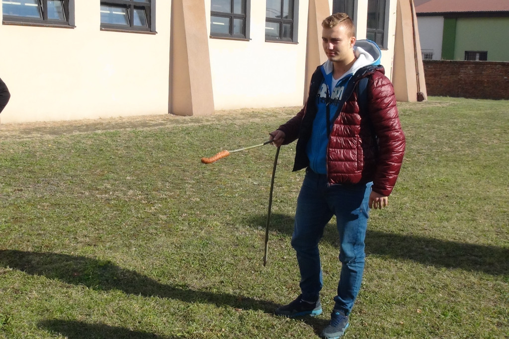 Święto ziemniaka w 