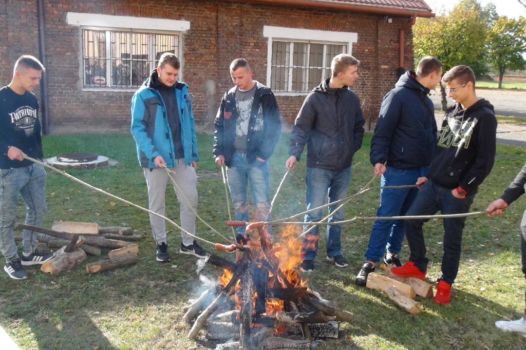 Święto ziemniaka w 