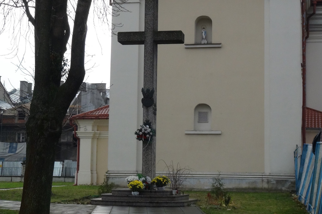 V Zamojski Marsz Niepodległości [ZDJĘCIA]