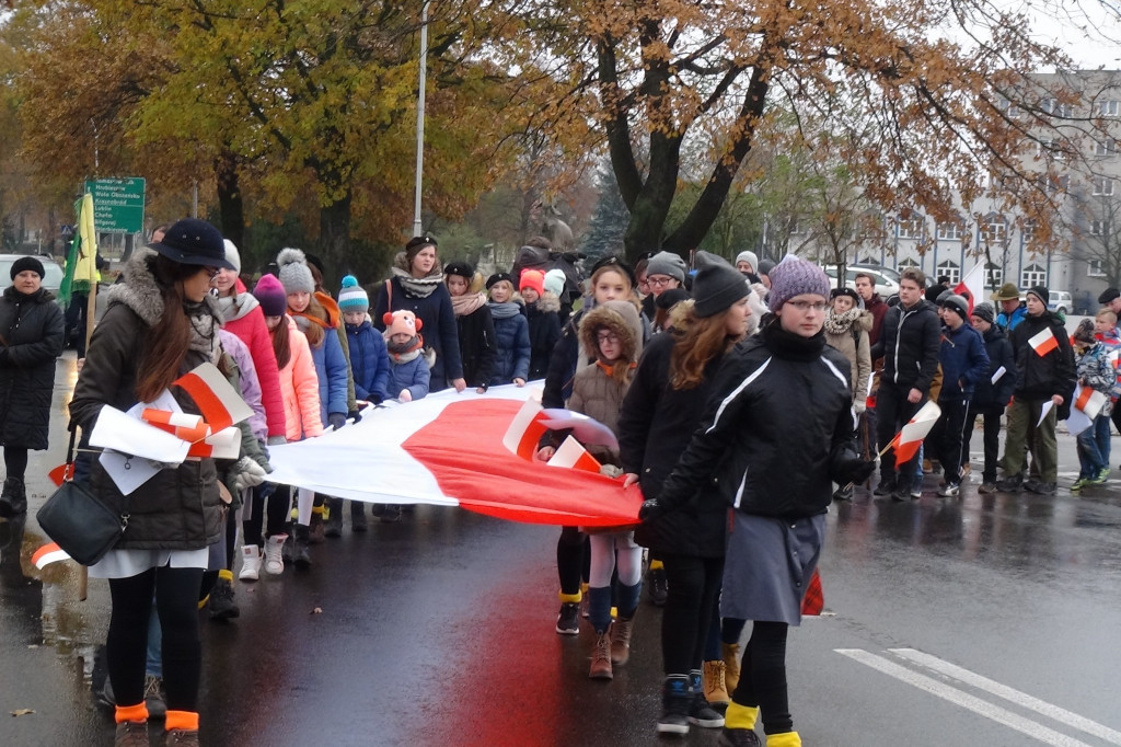 V Zamojski Marsz Niepodległości [ZDJĘCIA]