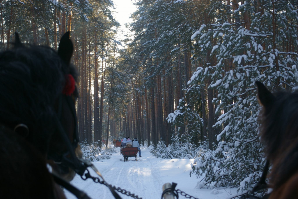 Rezerwat nad Tanwią z Piłsudskim w tle