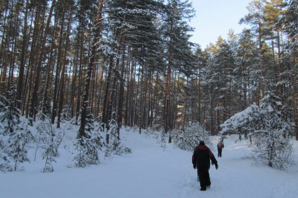 Rezerwat nad Tanwią z Piłsudskim w tle