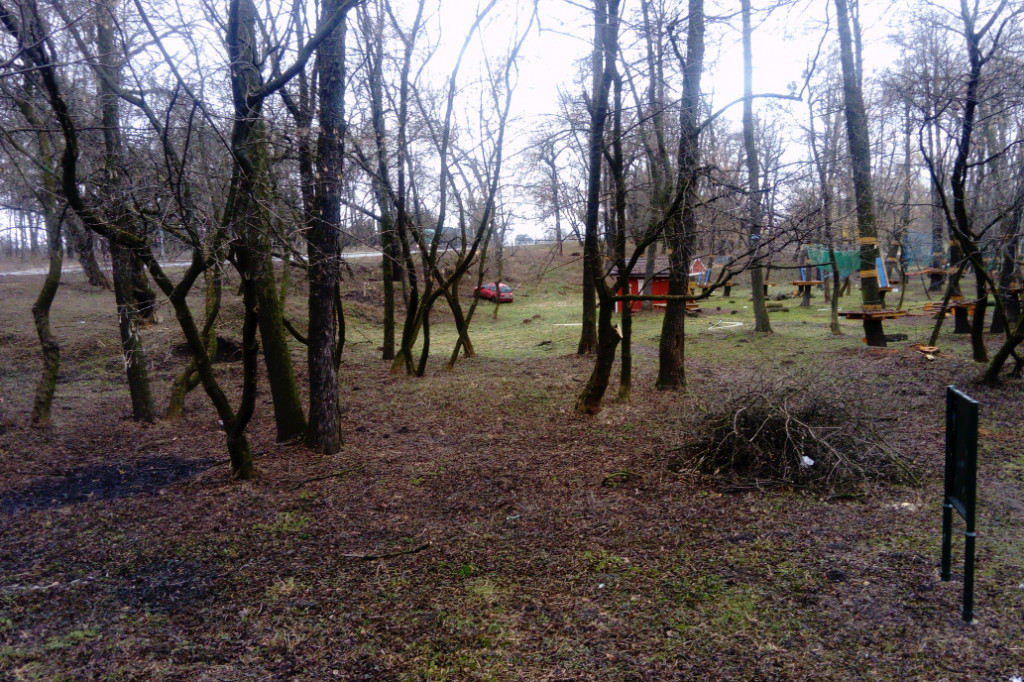 Wypadek na obwodnicy