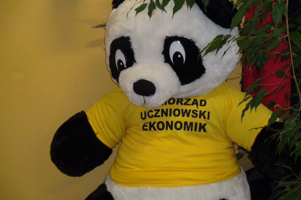 Zobacz jak wygląda nauka w 