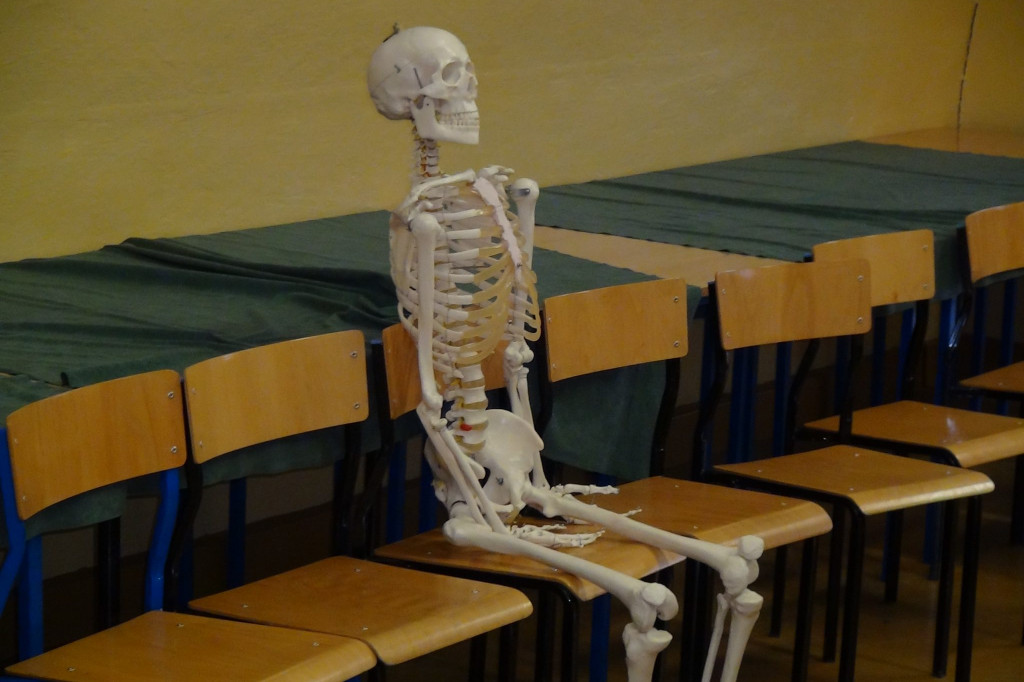 Zobacz jak wygląda nauka w 