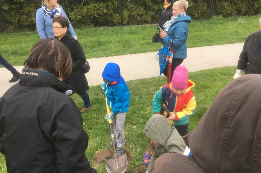 Nowoczesna i mieszkańcy Zamościa posadzili klony