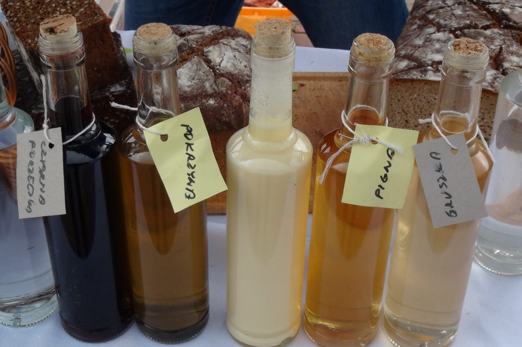 II Festiwal Polskiej Zdrowej Żywności Wolnej od GMO [ZDJĘCIA]