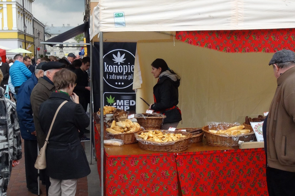 II Festiwal Polskiej Zdrowej Żywności Wolnej od GMO [ZDJĘCIA]