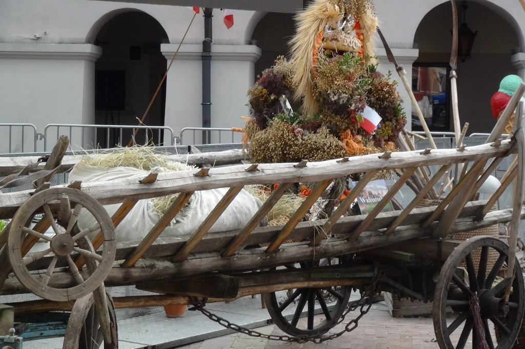 II Festiwal Polskiej Zdrowej Żywności Wolnej od GMO [ZDJĘCIA]