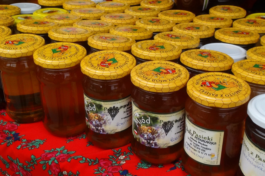 II Festiwal Polskiej Zdrowej Żywności Wolnej od GMO [ZDJĘCIA]