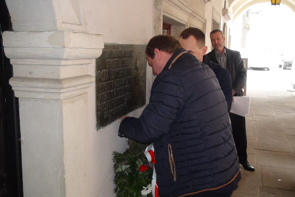 Obchody 1 Maja w Zamościu