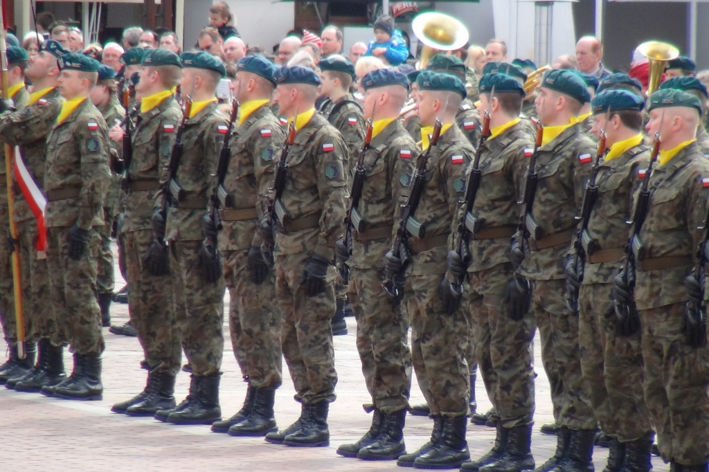 Wiwat Konstytucja 3 Maja! [ZDJĘCIA]