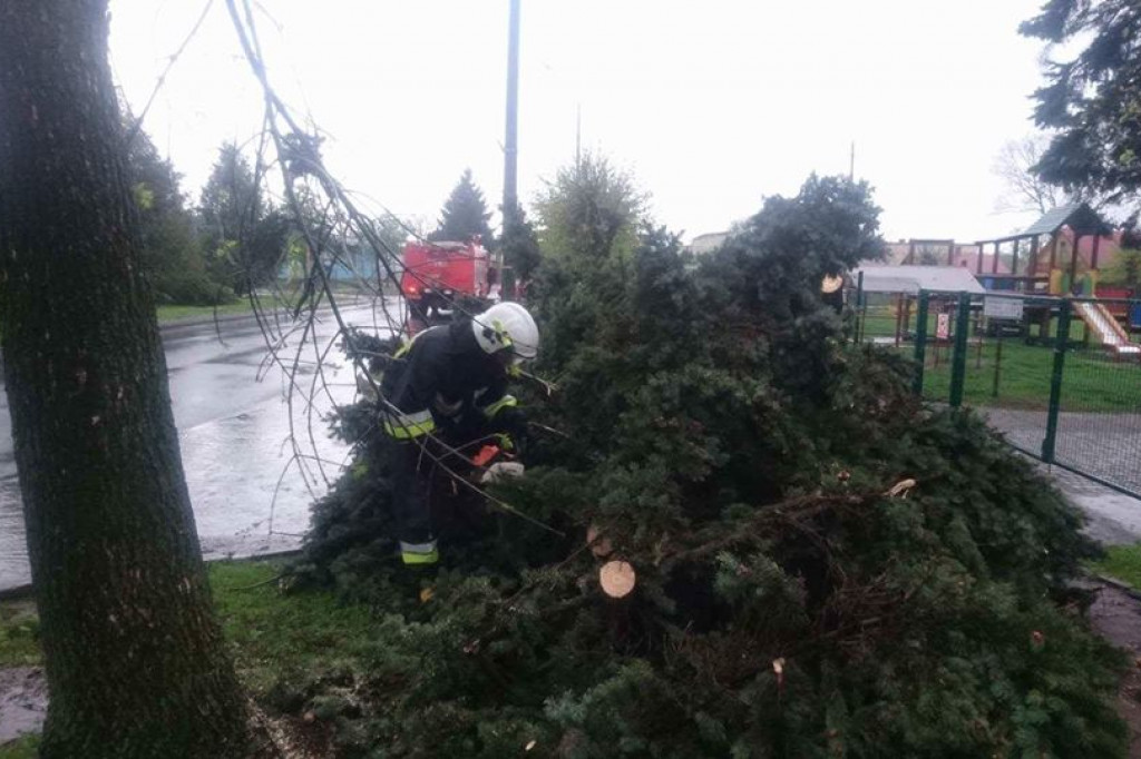 Pracowity Dzień Strażaka