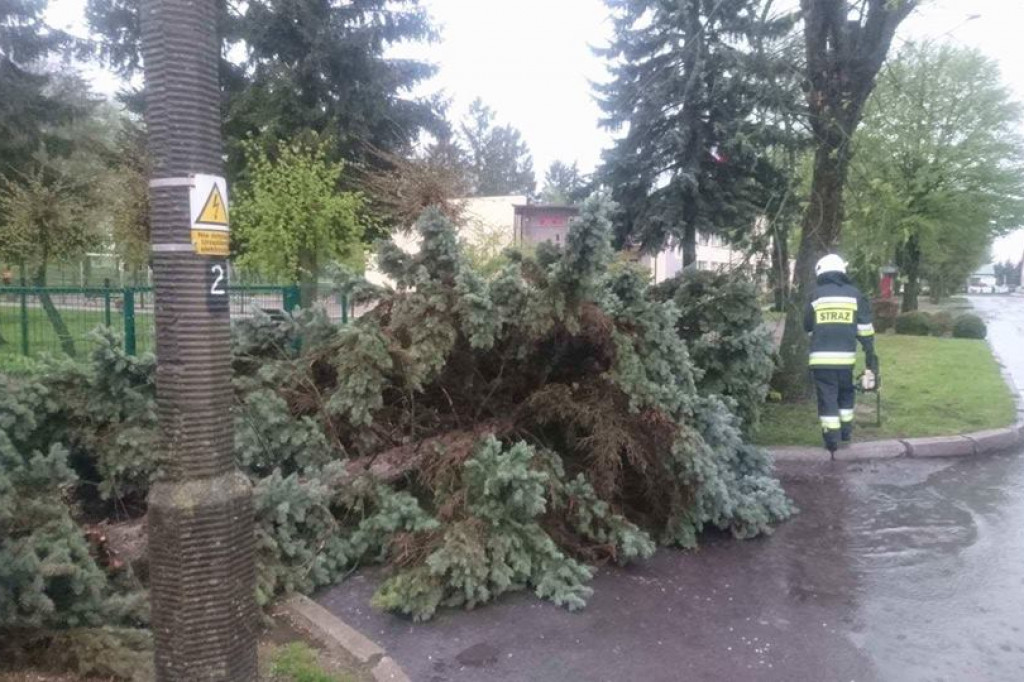 Pracowity Dzień Strażaka