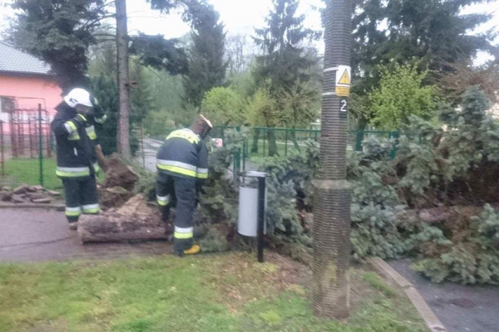 Pracowity Dzień Strażaka