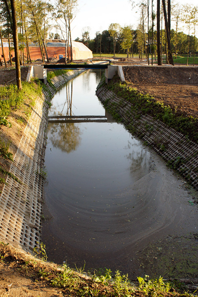 Staw parkowy