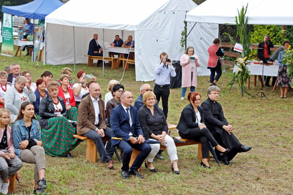 Na Ludową Nutę VI