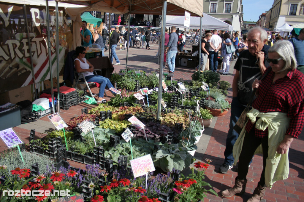 26. Jarmark Hetmański - Festiwal Produktu Lokalnego