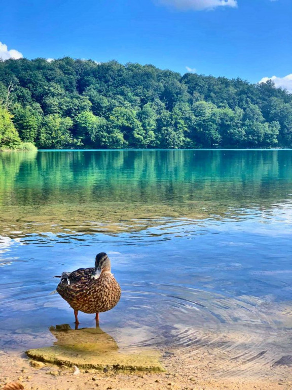 Znamy zwycięzców I Edycji Powiatowego Konkursu Fotograficznego