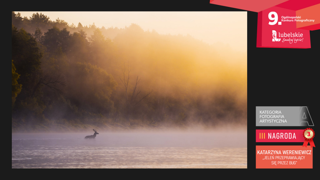 Konkursu Fotograficzny 