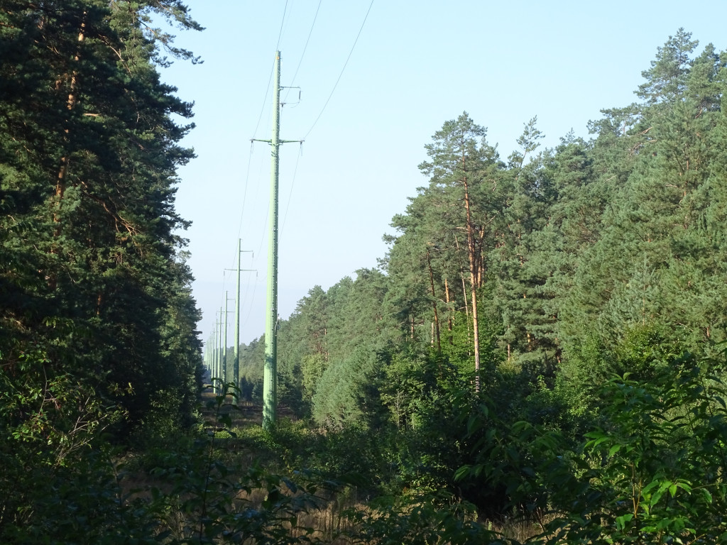 Nowoczesna linia dystrybucyjna na trasie Szczebrzeszyn - Biłgoraj