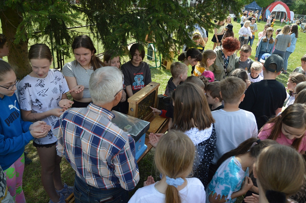 Eko piknik pod hasłem 