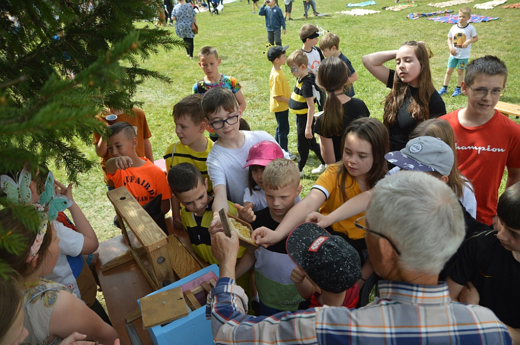 Eko piknik pod hasłem 