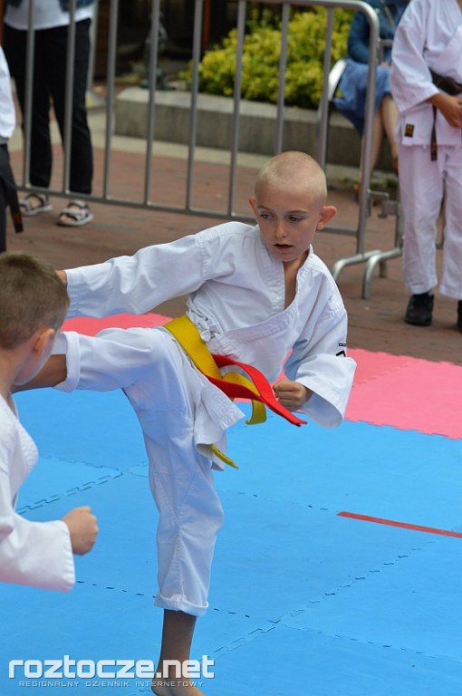 Perły Lubelszczyzny – Ogólnopolski Turniej Karate Tradycyjnego w Zamościu