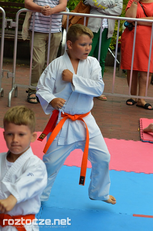 Perły Lubelszczyzny – Ogólnopolski Turniej Karate Tradycyjnego w Zamościu