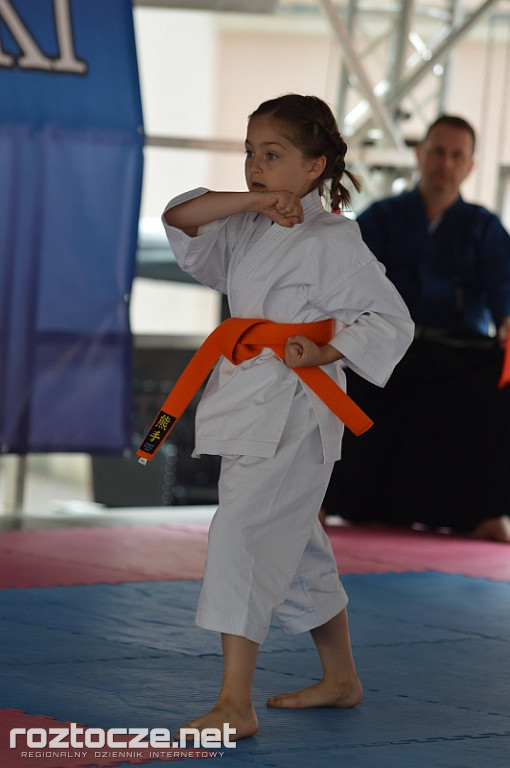 Perły Lubelszczyzny – Ogólnopolski Turniej Karate Tradycyjnego w Zamościu