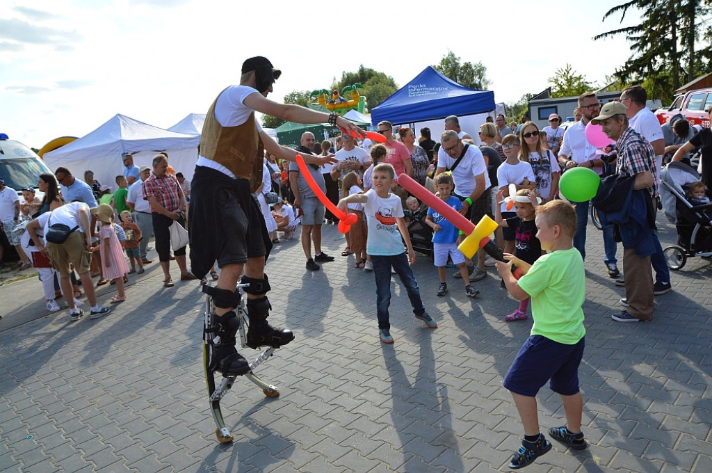 Rodzinny Piknik Europejski nad Zalewem Miejskim w Zamościu
