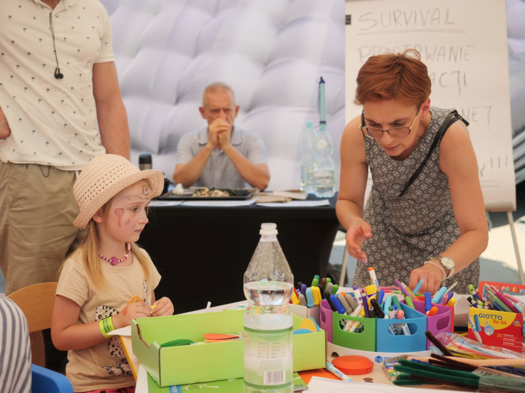 Kolejny piknik 