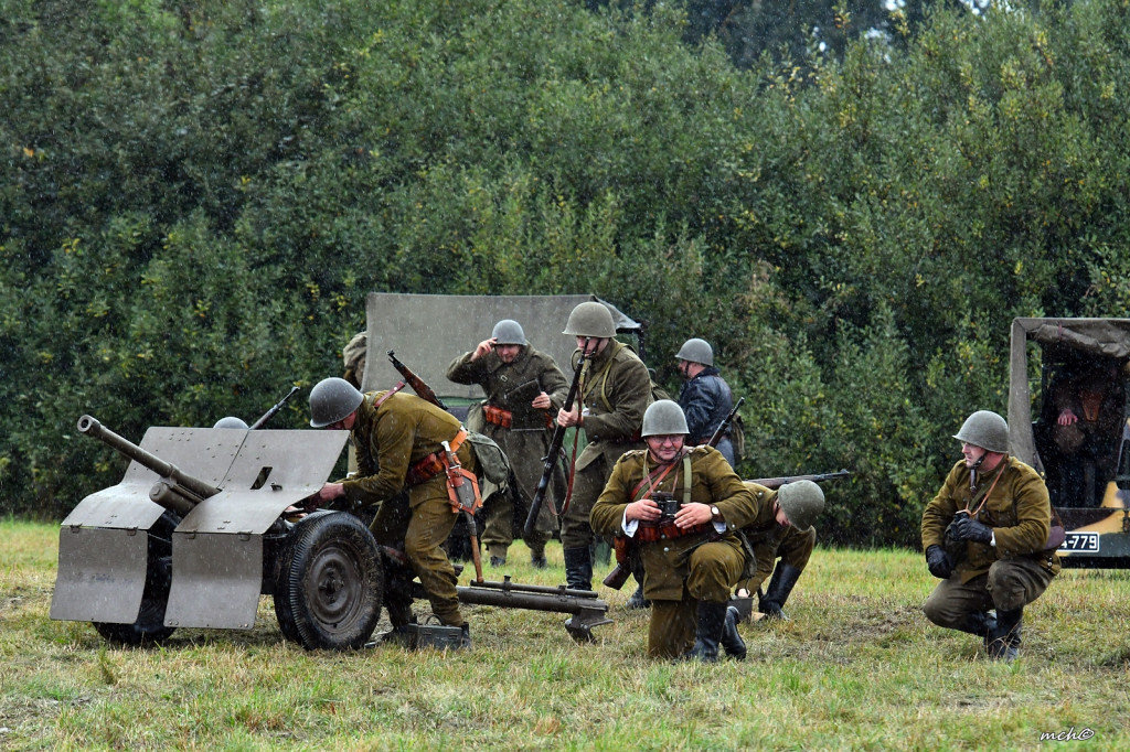 Bitwy pod Tomaszowem Lubelskim