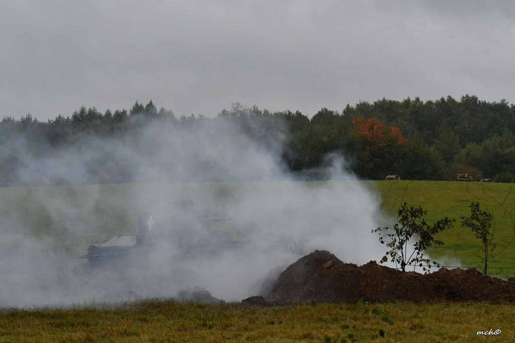 Bitwy pod Tomaszowem Lubelskim