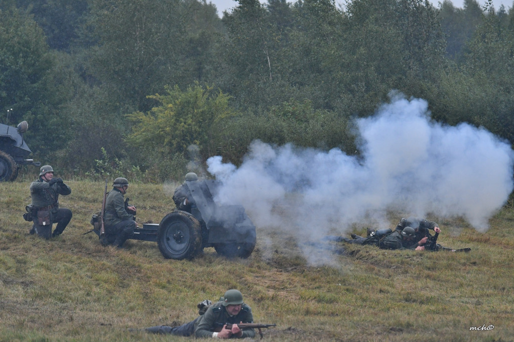 Bitwy pod Tomaszowem Lubelskim