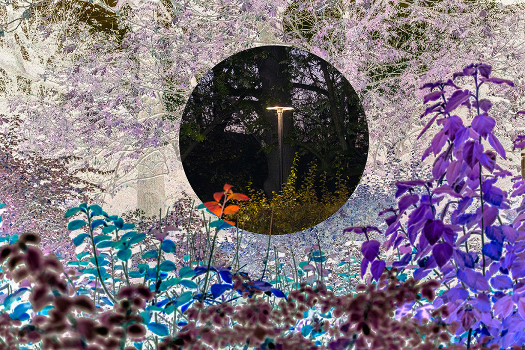 Wystawa fotografii Leszka Górskiego pt. Acid