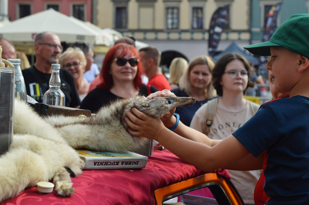 7. edycja festiwalu 